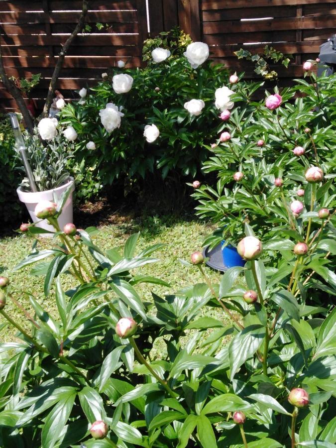 Ferienwohnung Mit Kleinem Garten Sonnenbühl Zewnętrze zdjęcie