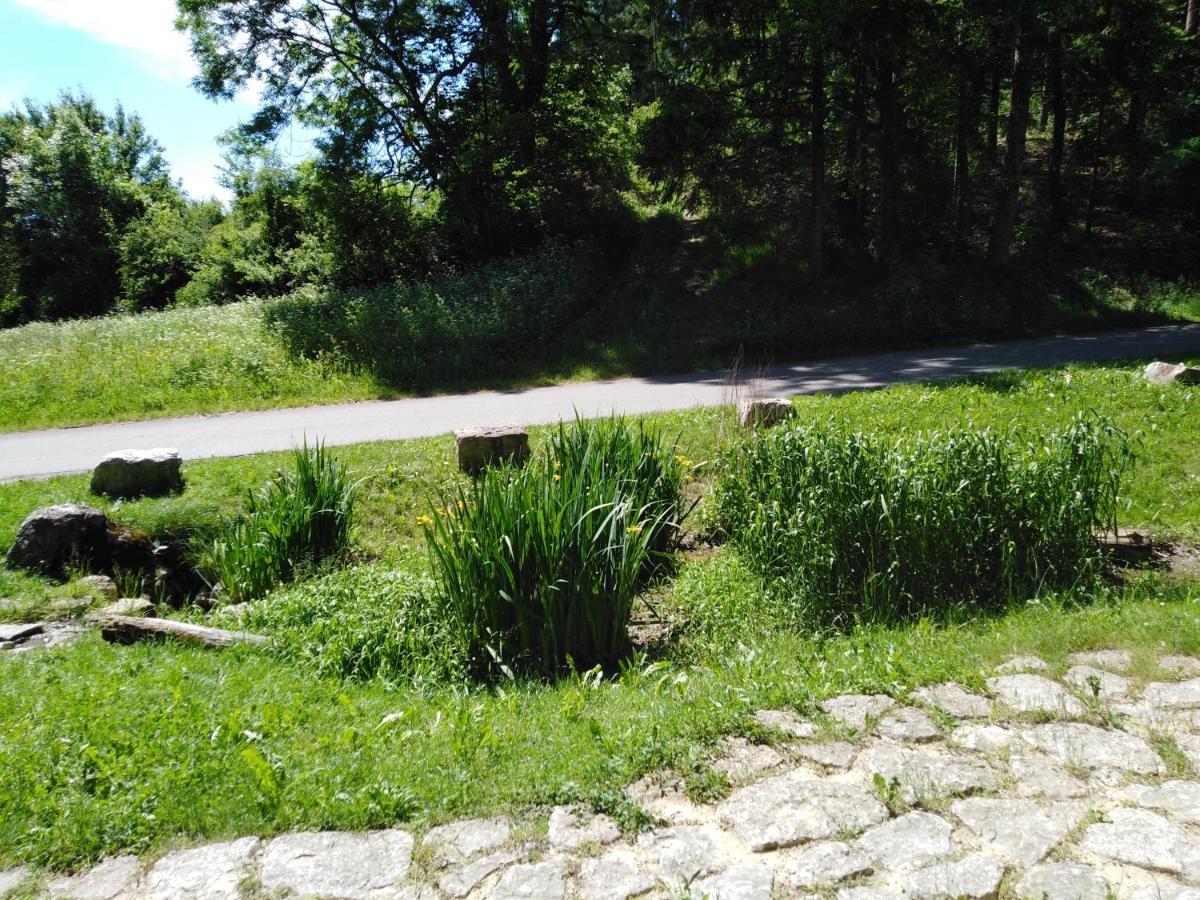 Ferienwohnung Mit Kleinem Garten Sonnenbühl Zewnętrze zdjęcie