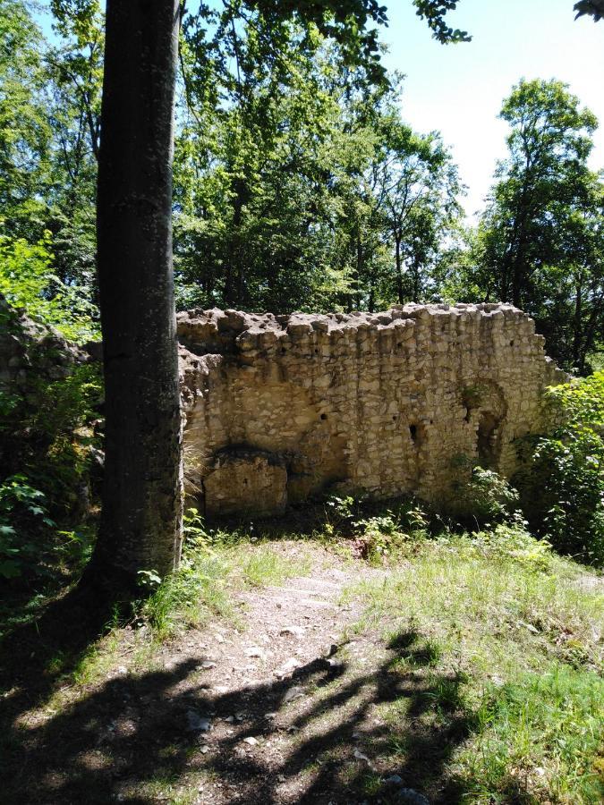 Ferienwohnung Mit Kleinem Garten Sonnenbühl Zewnętrze zdjęcie