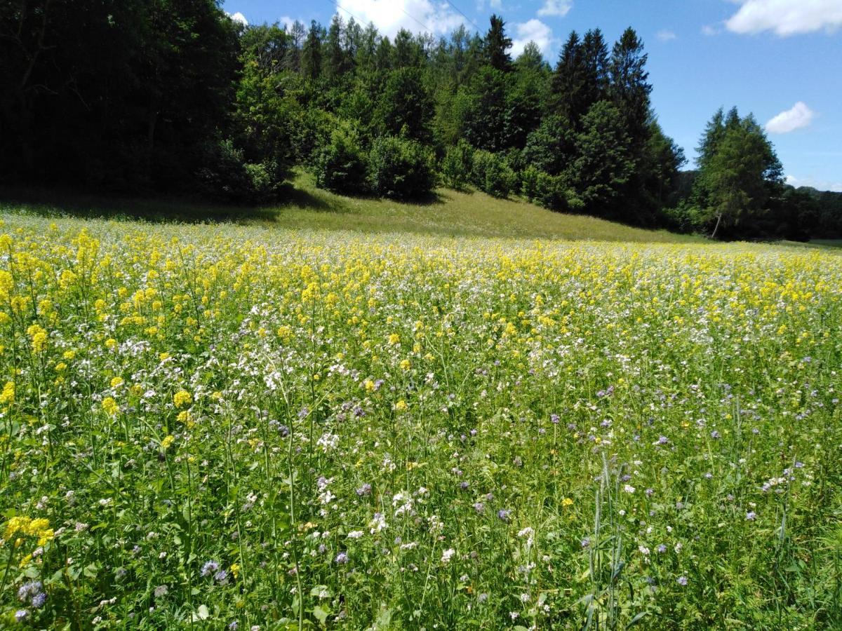 Ferienwohnung Mit Kleinem Garten Sonnenbühl Zewnętrze zdjęcie